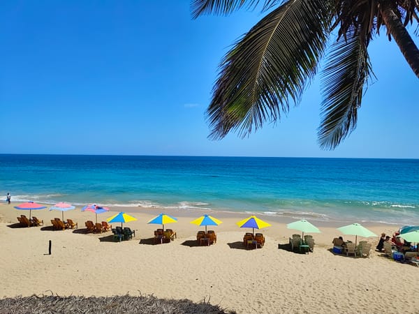 🏖️ Playas de la Costa de Miranda: joyas escondidas del paraíso